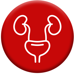 Educational Resources – World Federation for Ultrasound in Medicine and ...